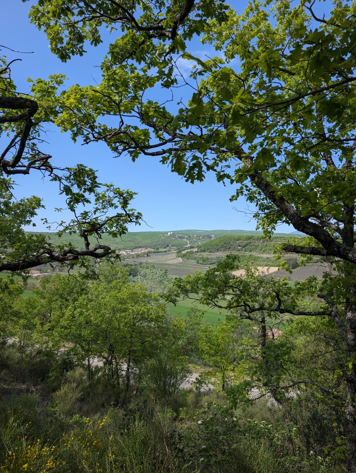 Landscape